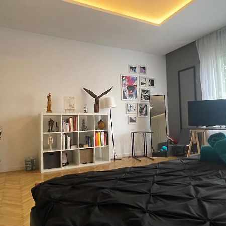 New Opera Studio Old City Center Self Check In Appartement Timişoara Buitenkant foto